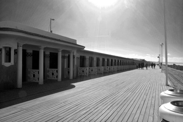 DSC_0121 nb