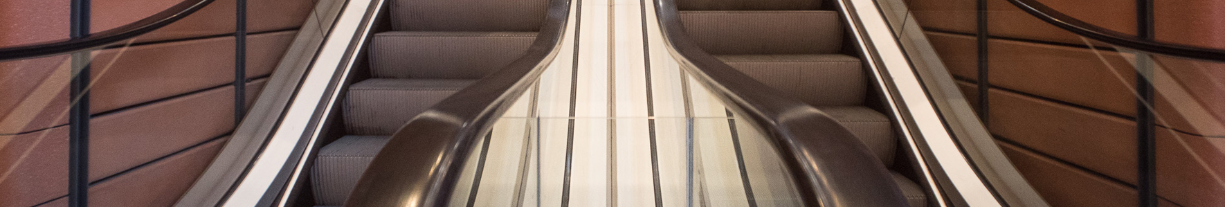 Salon de Lyon 2019